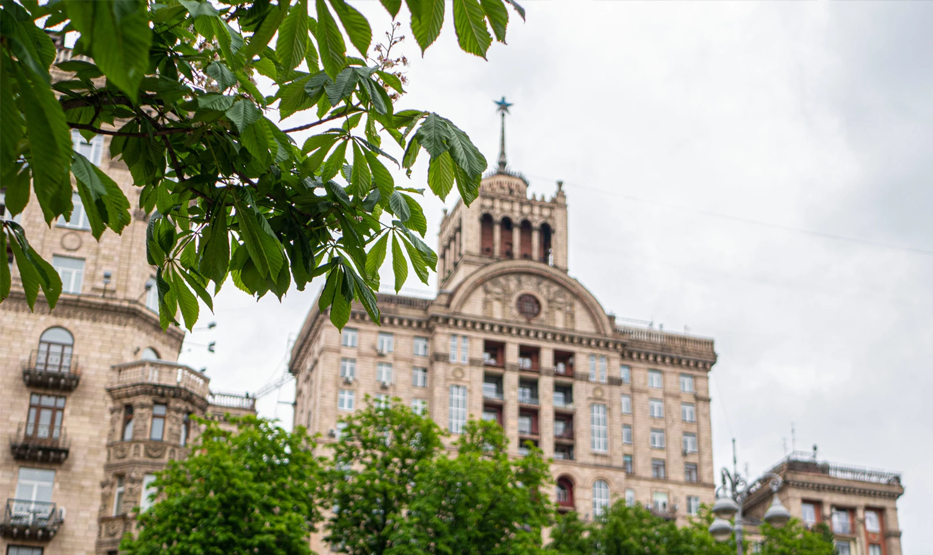 Туёвый Крещатик. Почему киевляне скучают по каштанам и как они стали символом столицы