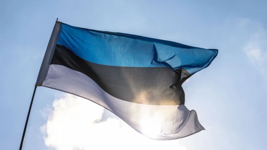 В Естонії на східному кордоні почали зводити 40-кілометровий протитанковий рів