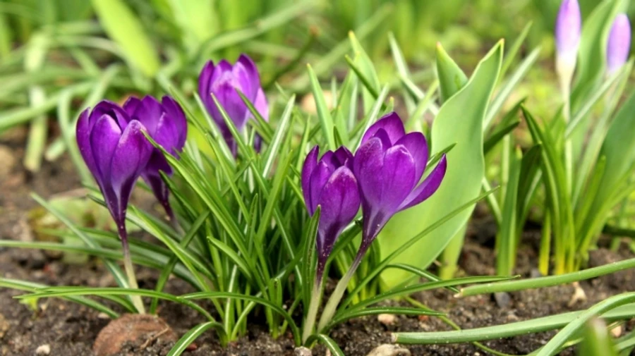 У понеділок в Україні від -9° на сході до +14° на заході