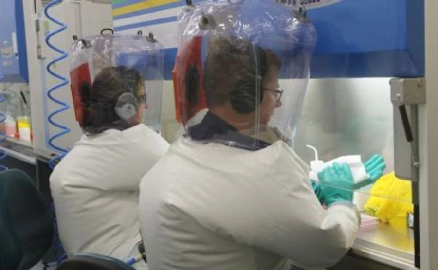 В поисках спасения от COVID-19: ученые тестируют вакцины, в Китае применяют медвежью желчь