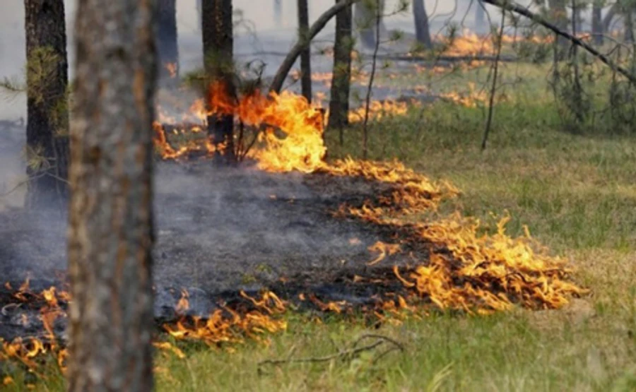 На западе Украины объявили чрезвычайный уровень пожарной опасности