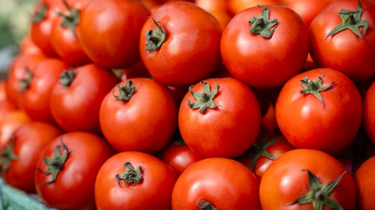В Україні знизились ціни на помідори: скільки коштують