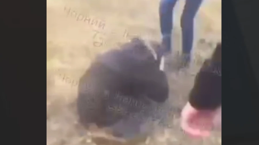 Поліція шукає молодиків, які нападають на людей у Франківську