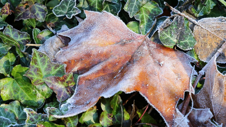 Украину накроют дожди, а Карпаты – мокрый снег