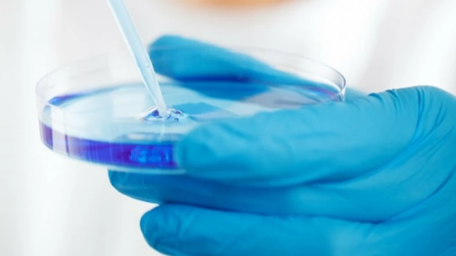 Українські ліки від коронавірусу вже тестують у Німеччині