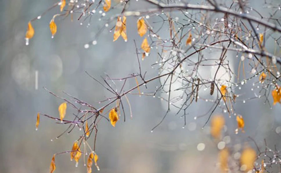 В Україні буде до +13