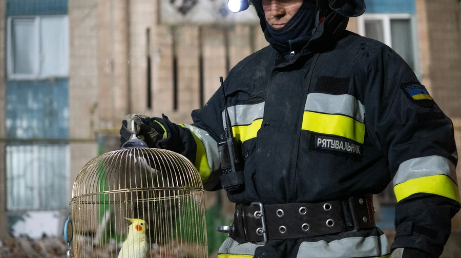 Someone cared for him, was his family: Parrot rescued from rubble of destroyed building in Ternopil – video