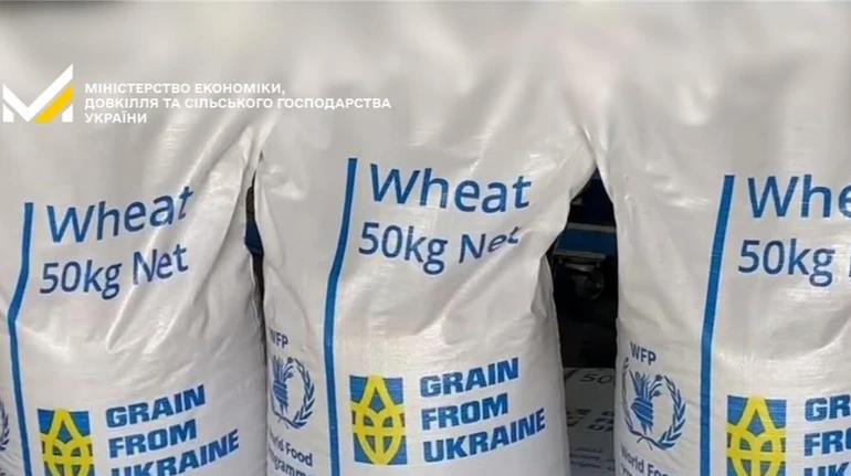 Grain from Ukraine: Пакистан отримав від України велику партію пшениці