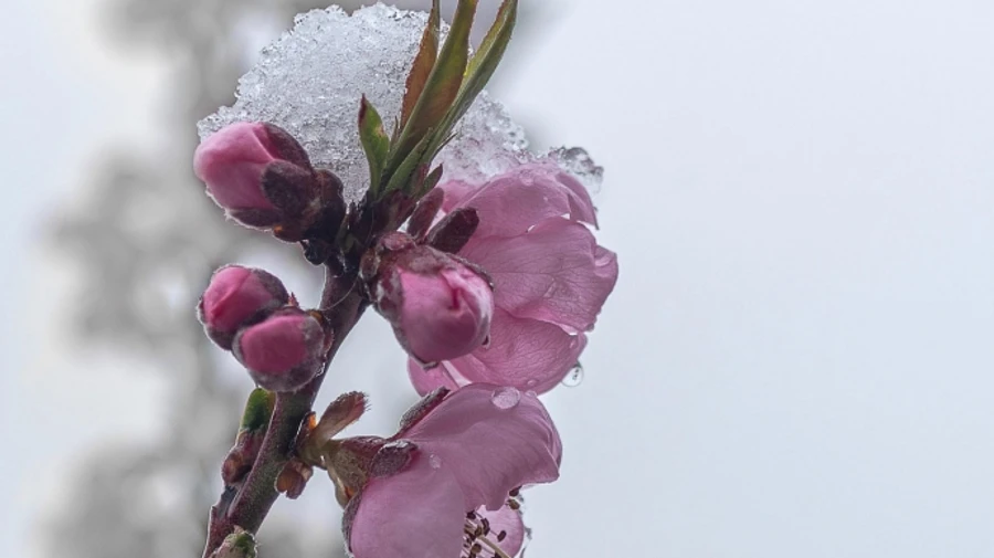 В Україну йде похолодання і сніг