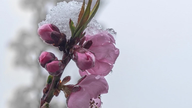 В Украину идет похолодание и снег