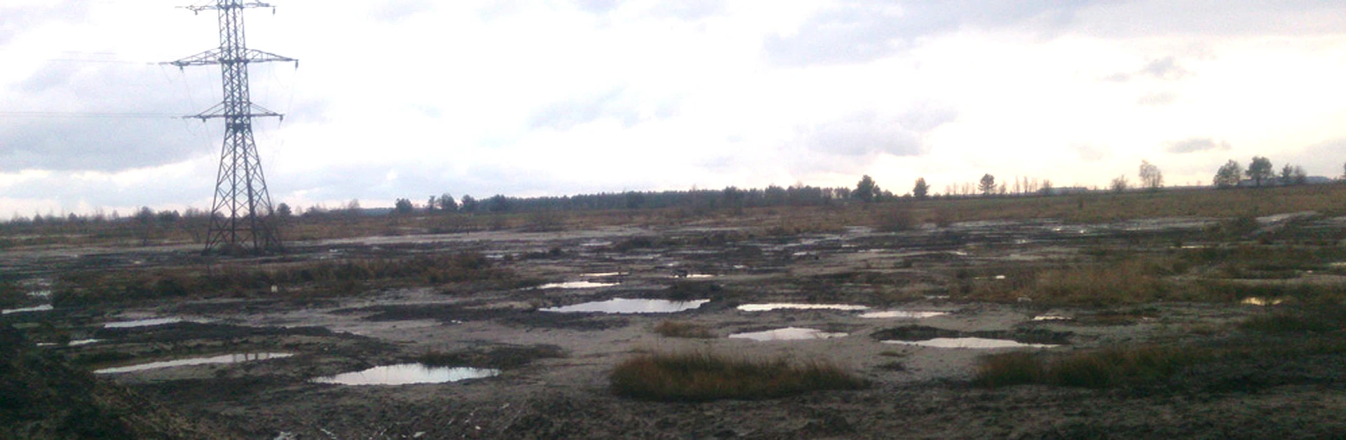 Бурштинова народна республіка. Західний український фронт