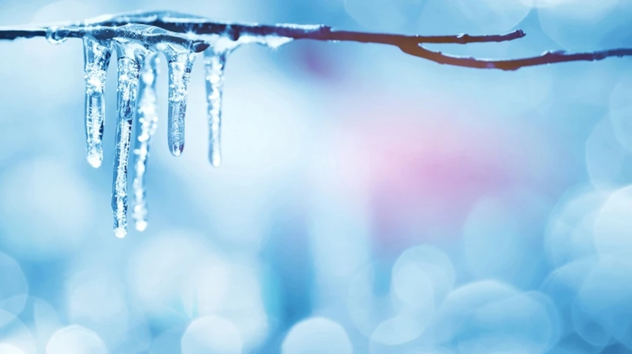 Весна до Києва прийшла в січні: побито 14 температурних рекордів