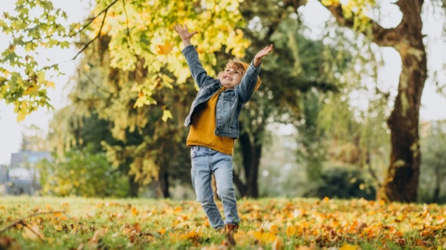 Погода: останні дні жовтня порадують теплом