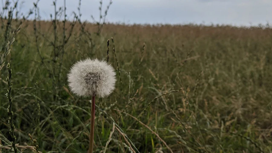 Синоптики попередили про сильний вітер