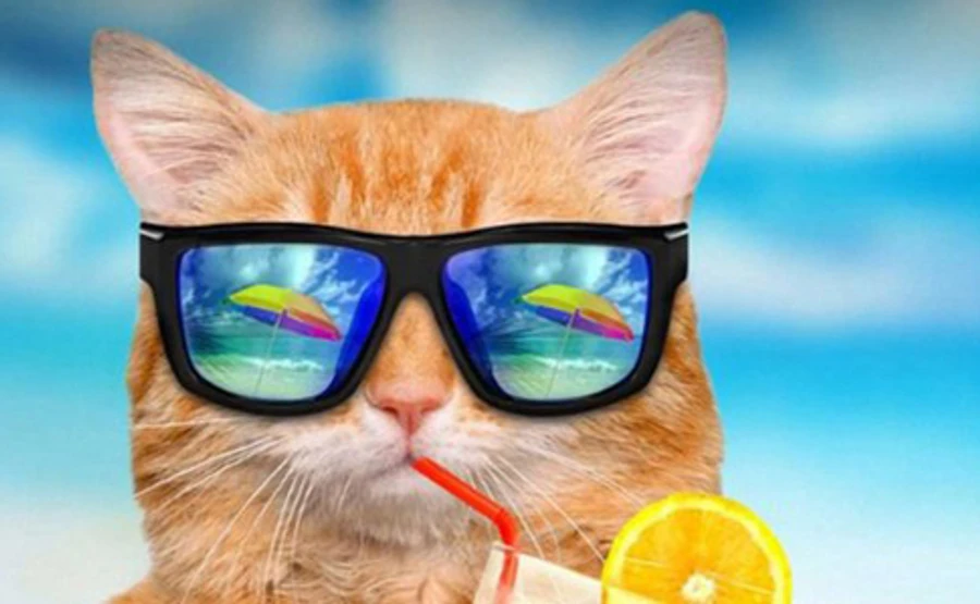 В Украину вернется жара 