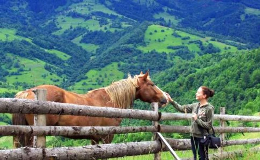 В июне у украинцев дважды будут длинные выходные