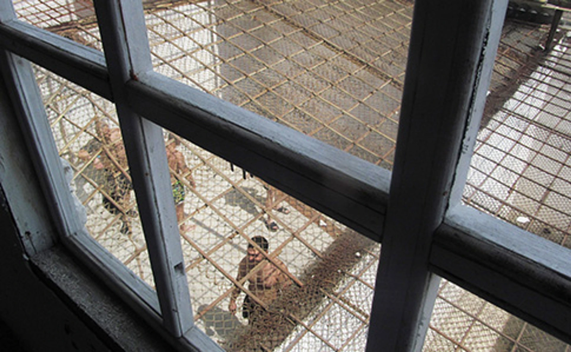 Заборонені предмети ховають у капцях і зефірках. Як живе колишнє СІЗО, куди потрапили Штепа і Зайцева