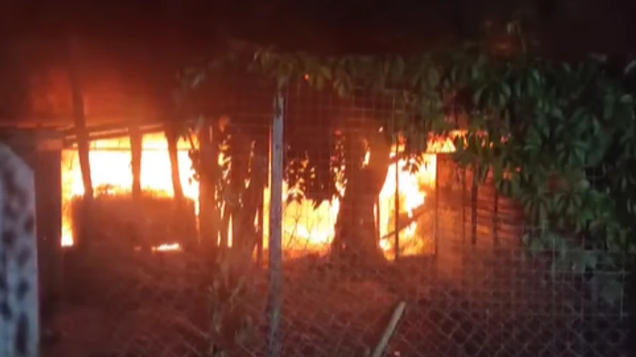 Abrigo de animais no Oblast de Odesa está sob ataque russo: incêndio extinto