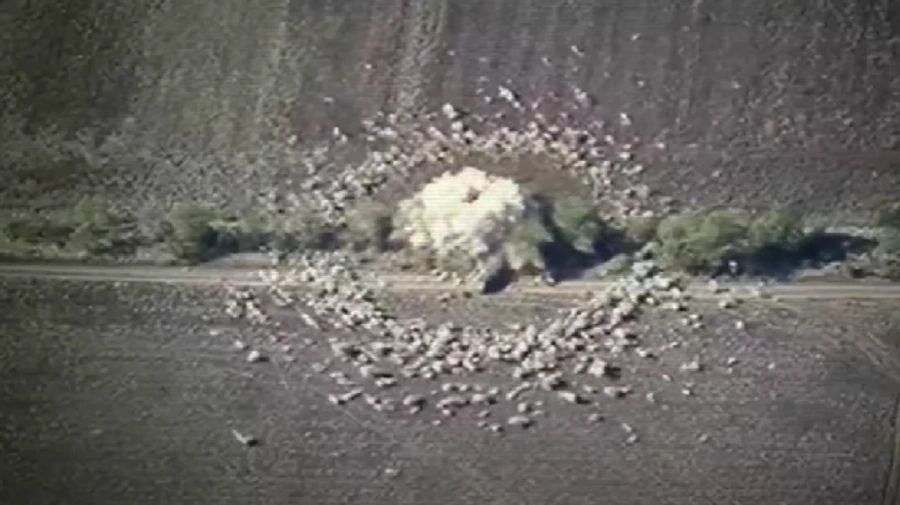 Special Operations Forces inflict heavy losses on Russians on Zaporizhzhia front