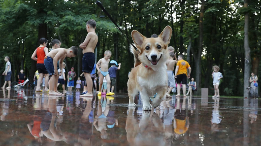Вихідні будуть сонячними, а після них – дощі  