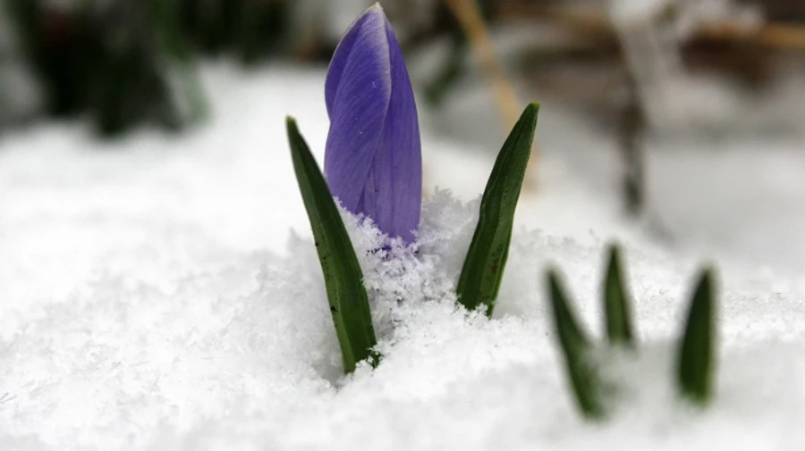 В Украину идет похолодание: местами ожидают снег и до -8°