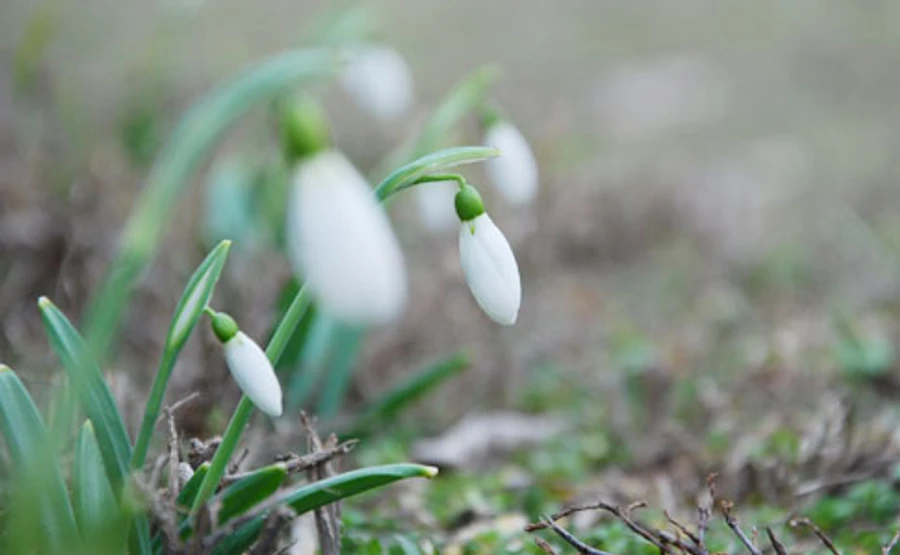 Как в марте: в Киеве температура побила очередной рекорд