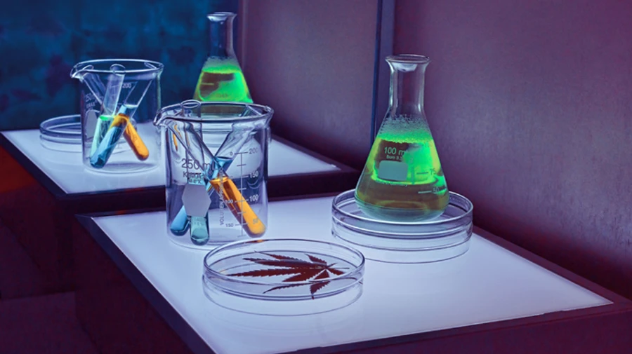 Минздрав зовет украинцев обсудить легализации канабисса