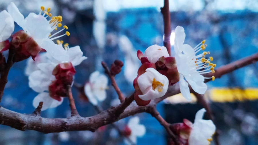 На вихідних в Україні подекуди дощитиме, але буде тепло 