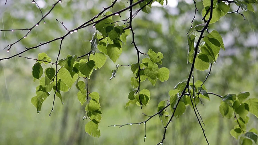 У середу половину України покроплять дощі