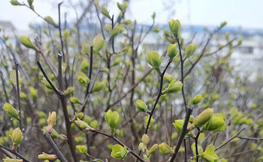 В Украину возвращается тепло