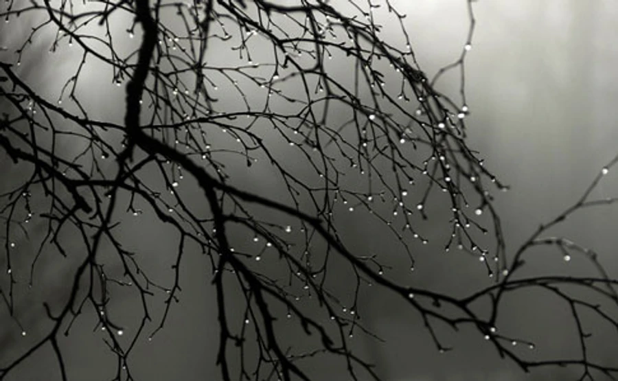 В Україну йде дощ, сніг і сильний вітер 