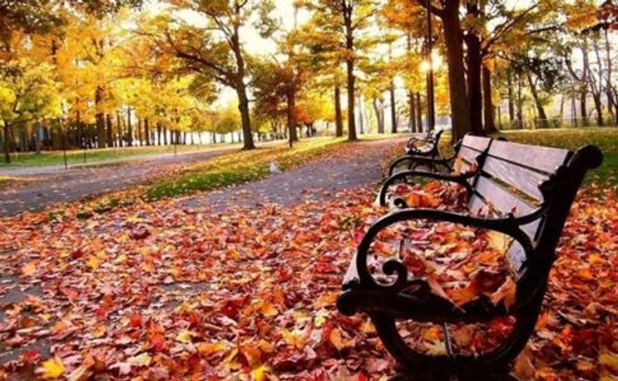 Синоптики розповіли, яким буде листопад