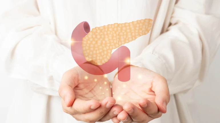 Выделяет ферменты и регулирует сахар крови, но без нее можно жить: интересные факты о поджелудочной железе