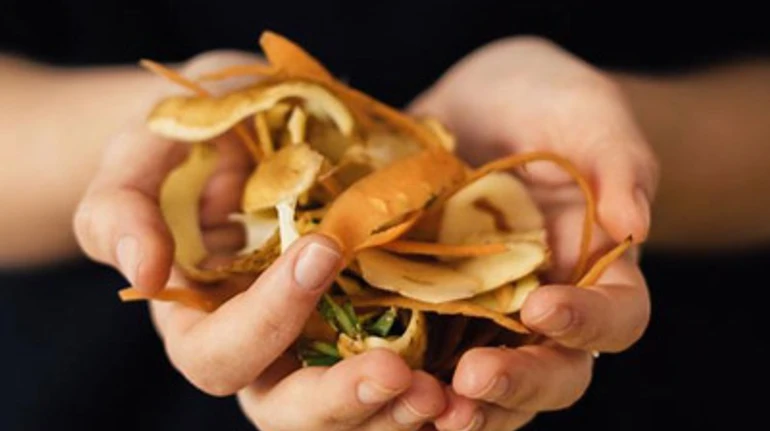 Как компостировать органические отходы в городе: опыт и советы