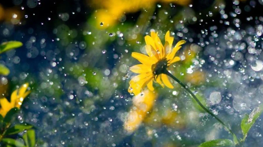 Грози не втамують спеки: погода на вікенд