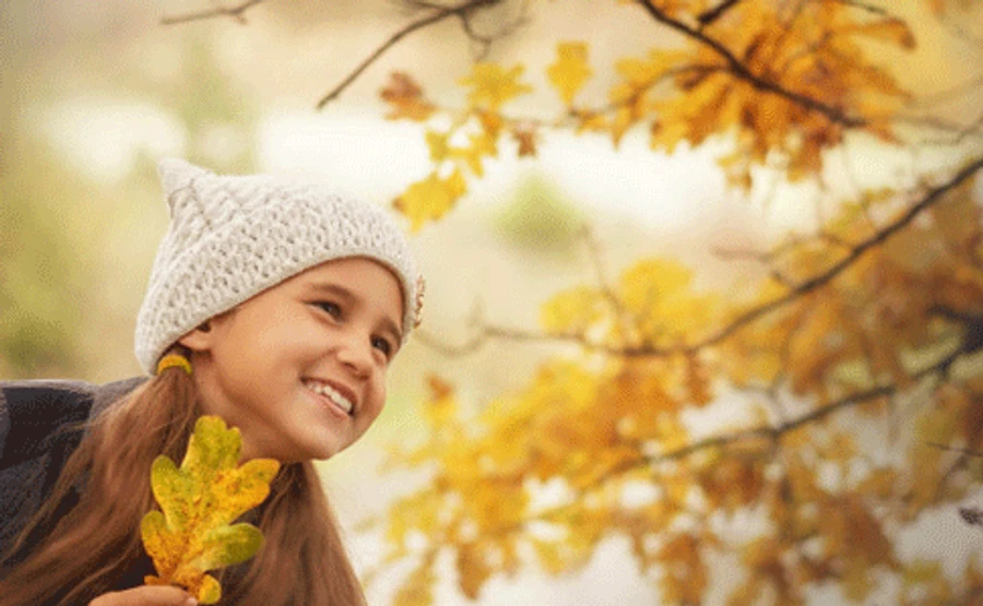 Від +2° до +23°: синоптики обіцяють прохолодні ночі й теплі дні