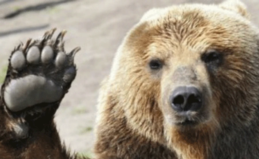 До Москви будуть ходити тільки ведмеді: Омелян анонсує обмеження