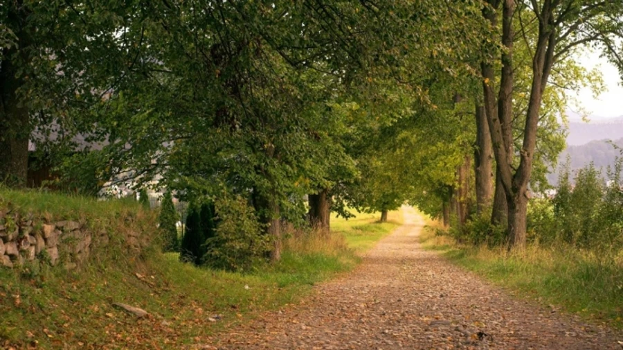У неділю Україну прогріє до 27°, без опадів