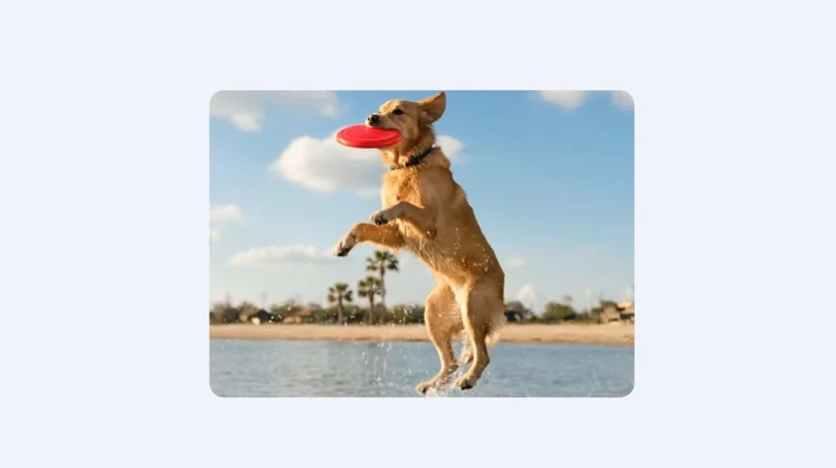 Google добавила в Gemini функцию проверки видео на наличие ИИ-контента