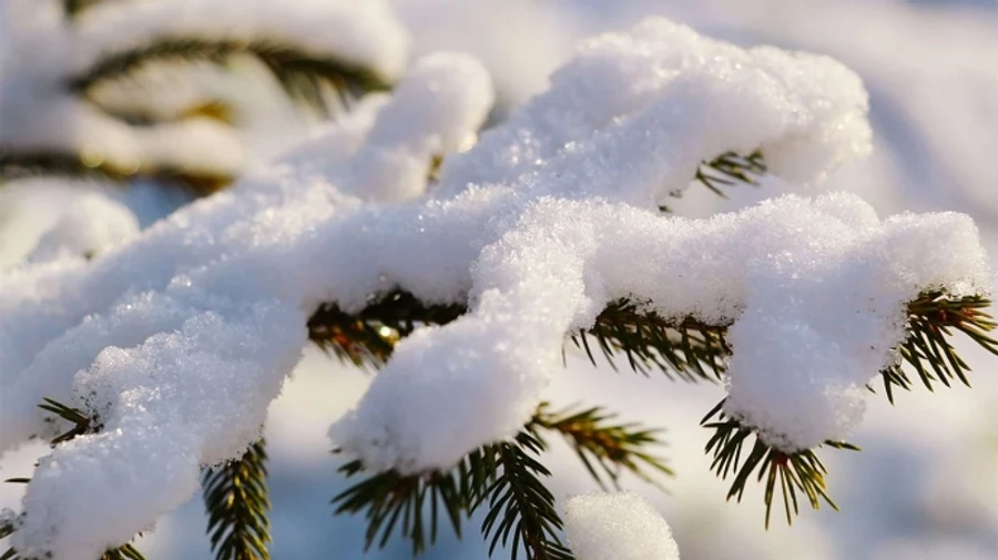 На западе и севере Украины ожидаются дождь с мокрым снегом