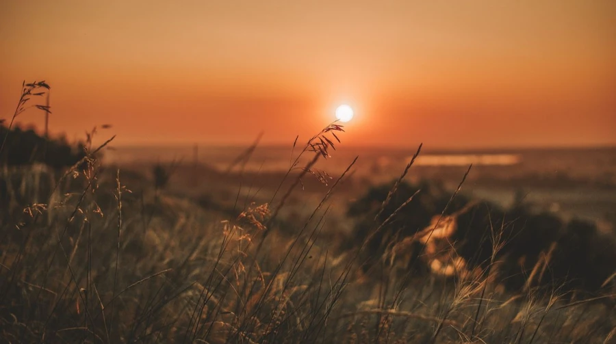 У неділю Україну прогріє до 32°, без опадів