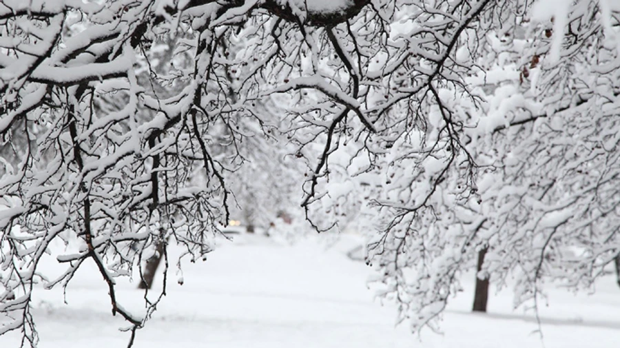 На запад Украины идут метели – оранжевый уровень опасности