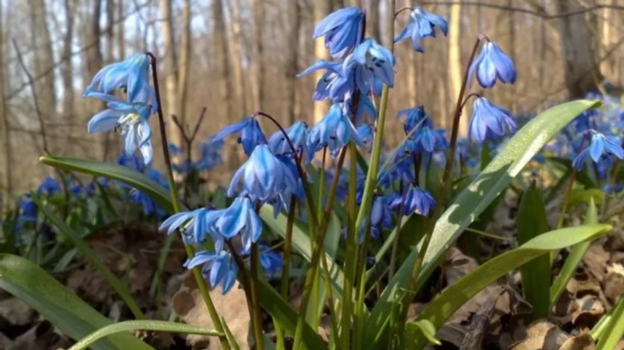 Погода: в неділю дещо потепліє