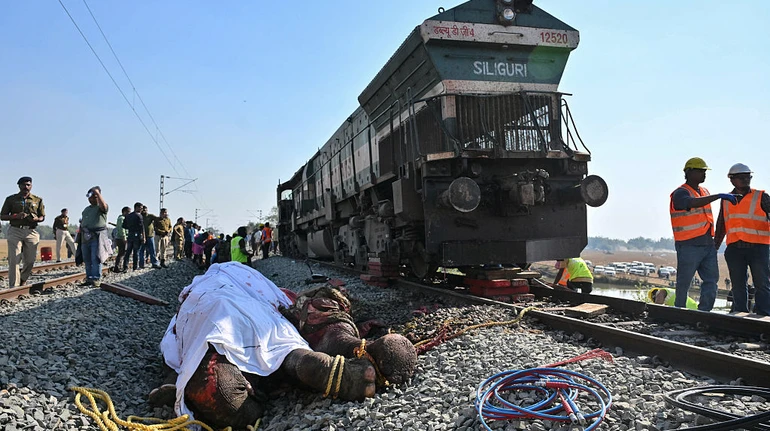 В Индии скоростной поезд столкнулся со стадом слонов: несколько животных погибли