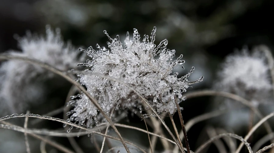 Мокрий сніг, дощ і подекуди до 16° морозу – прогноз погоди на 3 доби