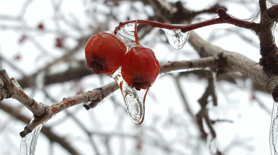 У п'ятницю та на вихідних в Україні очікуються дощі