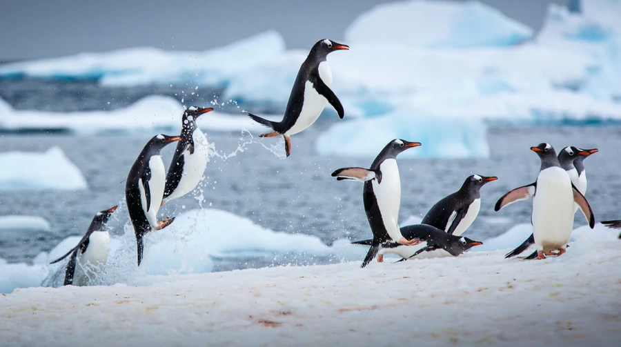 Київ пережив найхолоднішу зиму за 15 років – метеорологи