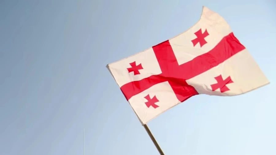 У Грузії заявляють про підготовку держперевороту з українським слідом