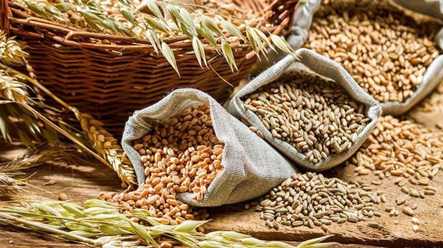 Poland prepares to extend ban on import of Ukrainian grain
