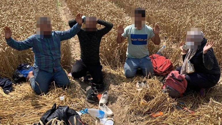 В Литве задержали рекордное количество мигрантов из Беларуси